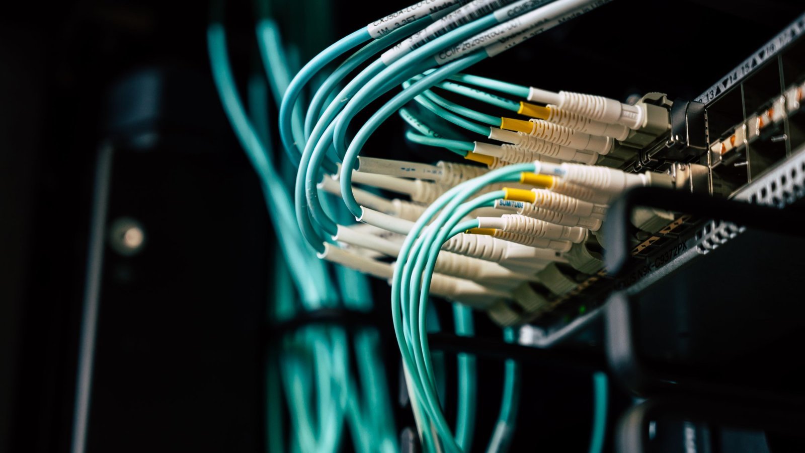 Detailed view of network cables plugged into a server rack in a data center.